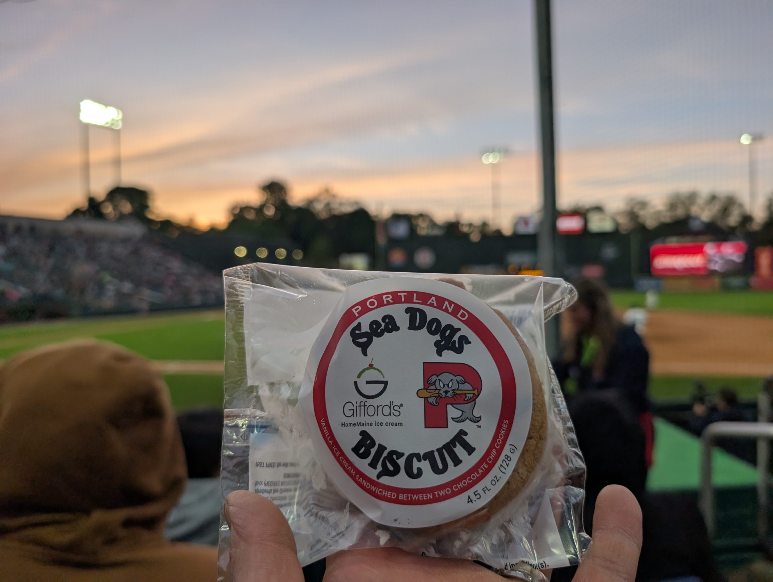 Hadlock Field